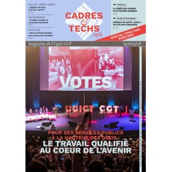 « Cadres Infos » élections de la Fonction publique 2026